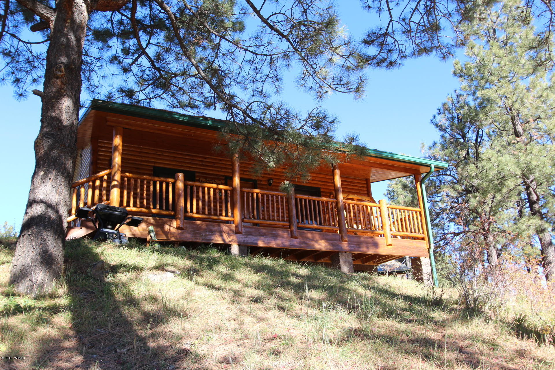 1120 Main, Unit 108 Greer, AZ 85927 - Photo 23 of 35 a view of backyard with deck