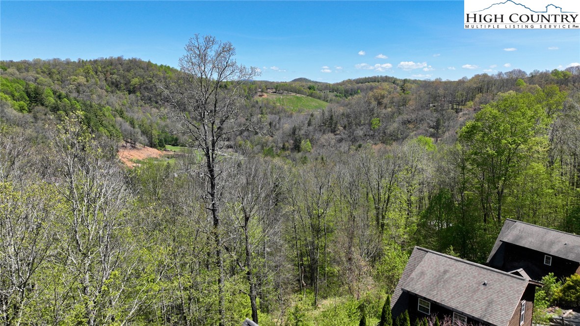 185 Marc Street Boone, NC 28607 - Photo 22 of 30 a view of a city with lush green forest
