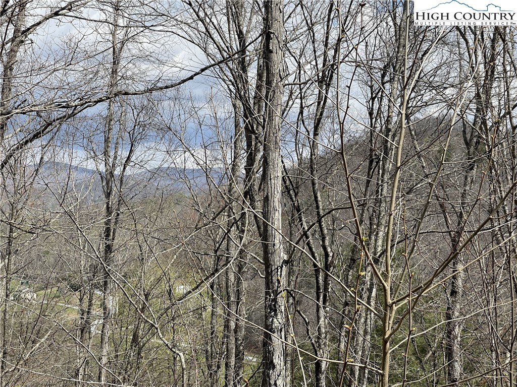 185 Marc Street Boone, NC 28607 - Photo 25 of 30 a backyard of a house with lots of trees
