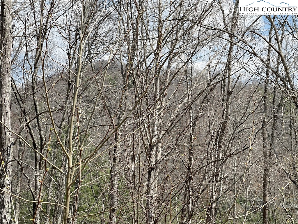 185 Marc Street Boone, NC 28607 - Photo 26 of 30 an outdoor space with lots of trees