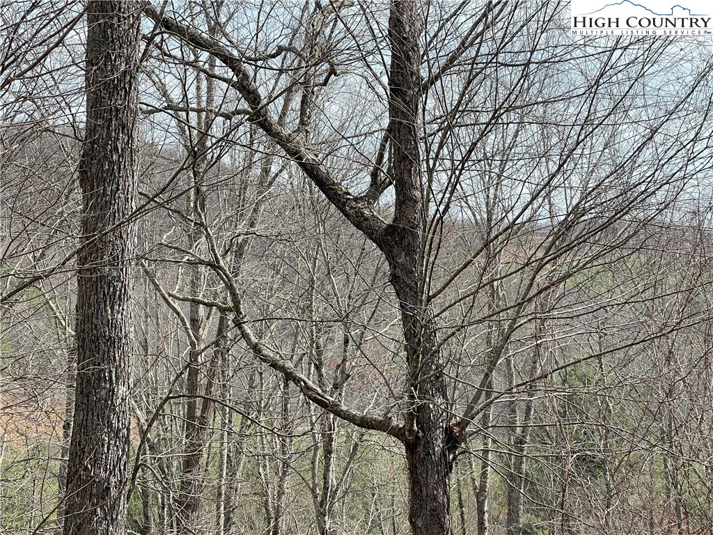 185 Marc Street Boone, NC 28607 - Photo 28 of 30