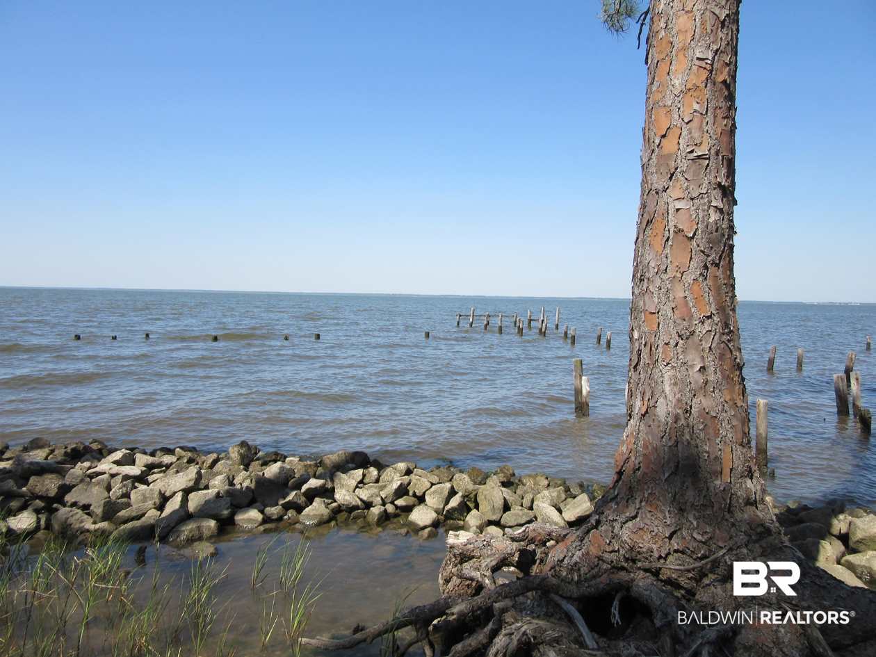 Strong Road Gulf Shores, AL 36542 - Photo 18 of 21