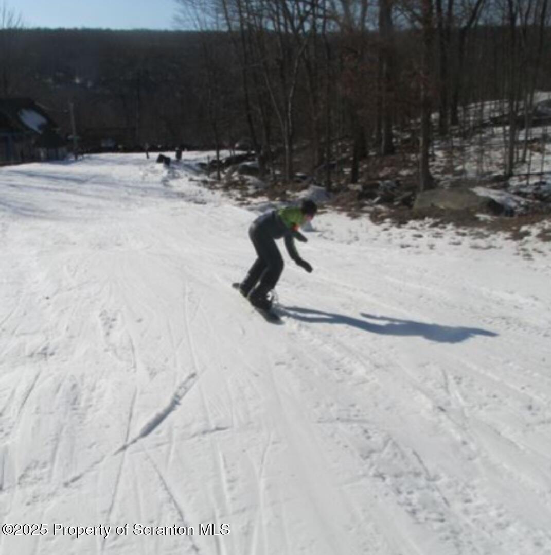 3110 Cherry Ridge Road Bushkill, PA 18324 - Photo 56 of 61 a view of swimming pool with an outdoor space