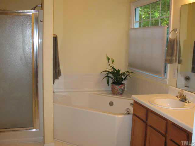 8501 Powis Circle Raleigh, NC 27615 - Photo 8 of 10 a bathroom with a sink a mirror and a shower