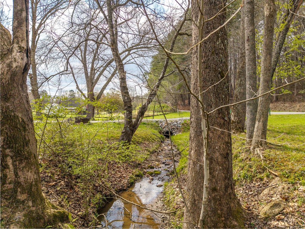 1252 Old Gumlog Road Blairsville, GA 30512 - Photo 7 of 76