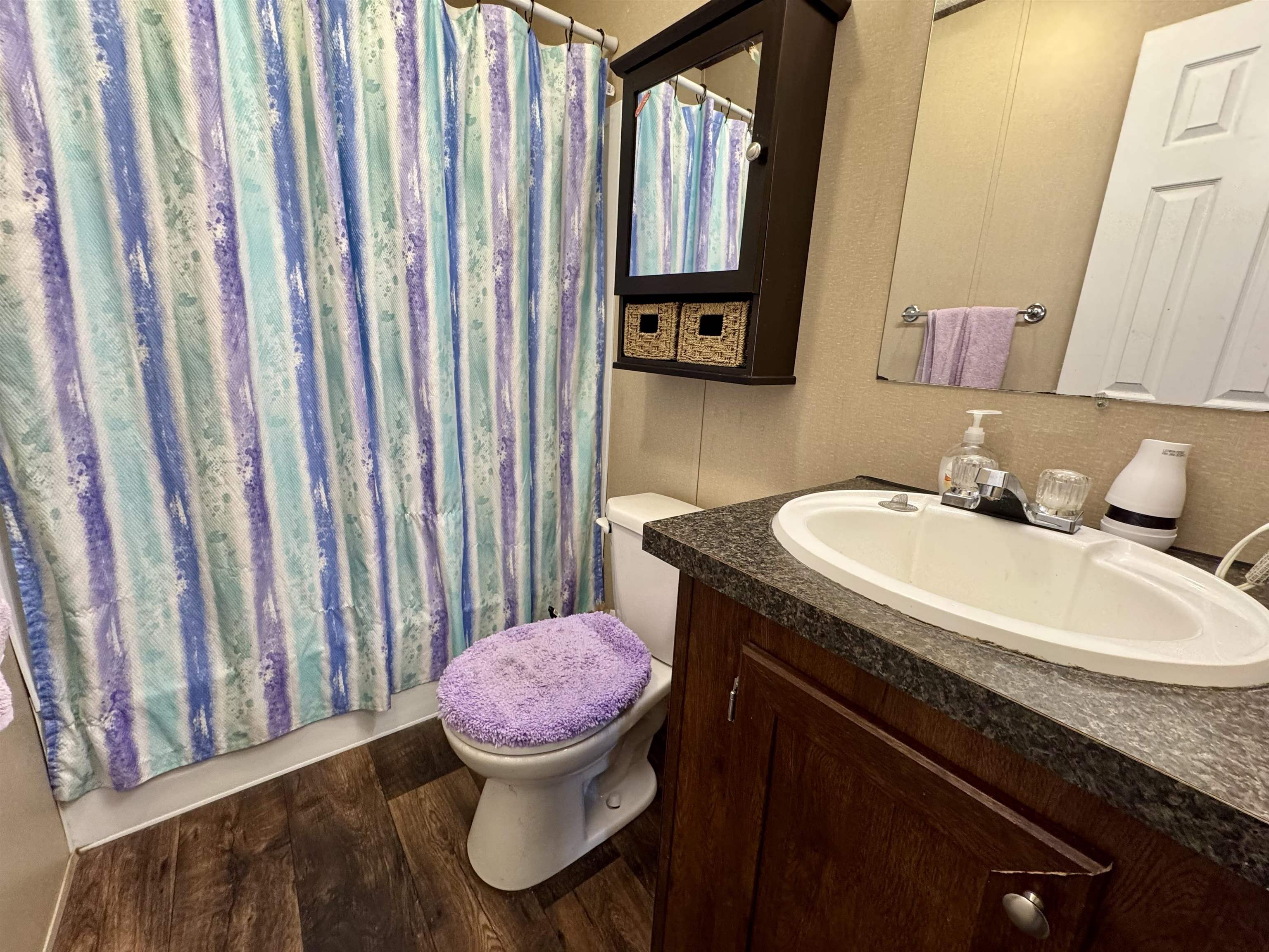 125 Elam Way Savannah, TN 38372 - Photo 15 of 36 Full bath with a shower with curtain, vanity, and dark wood finished floors