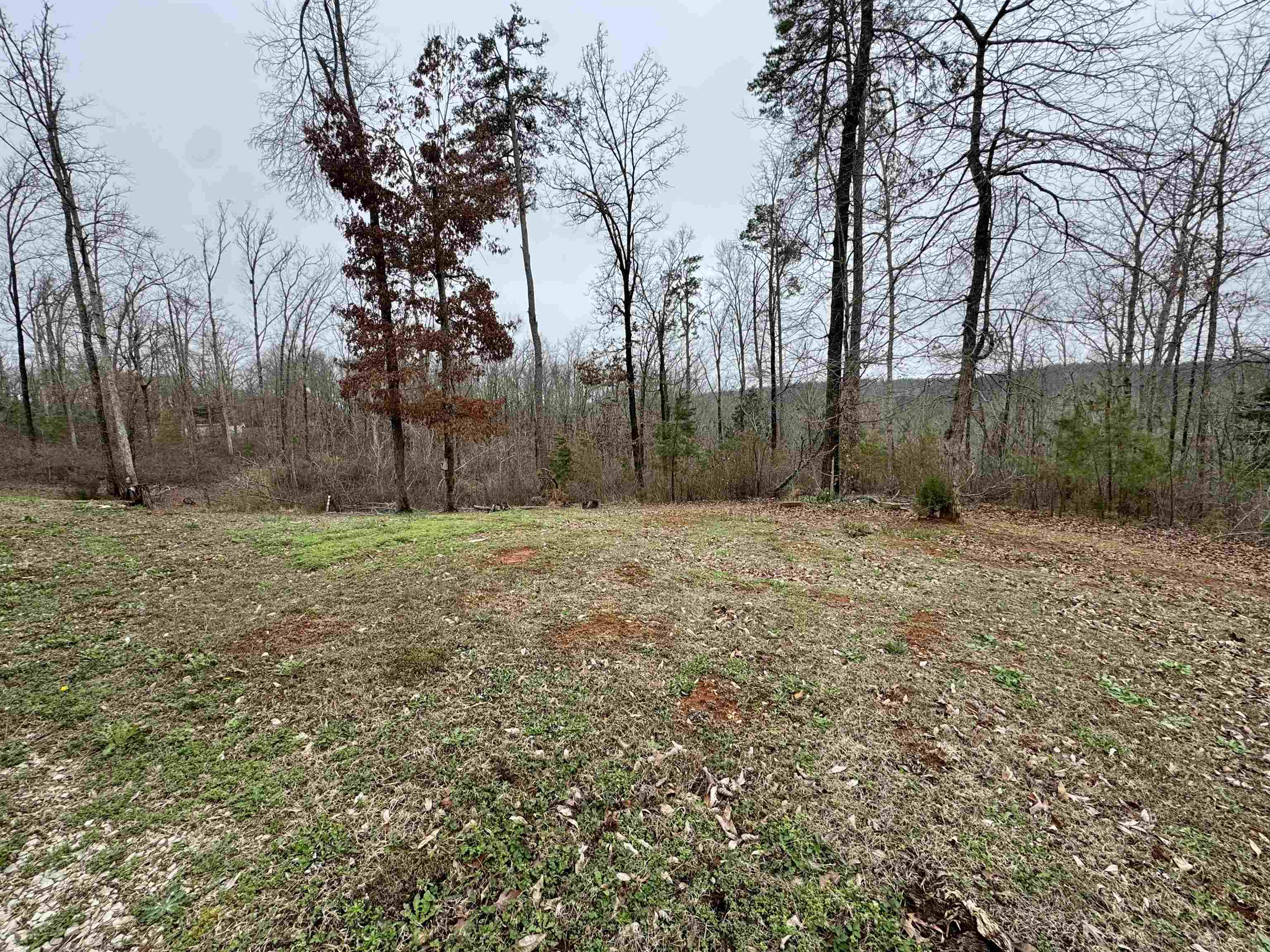 125 Elam Way Savannah, TN 38372 - Photo 23 of 36 a backyard of a house with lots of green space