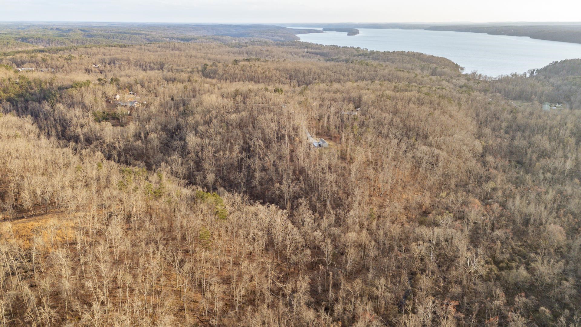 125 Elam Way Savannah, TN 38372 - Photo 36 of 36 Bird's eye view of a large body of water and a heavily wooded area