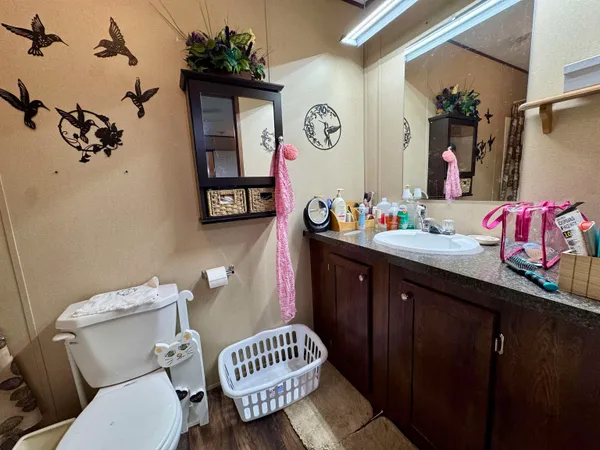 a bathroom with a sink mirror and toilet
