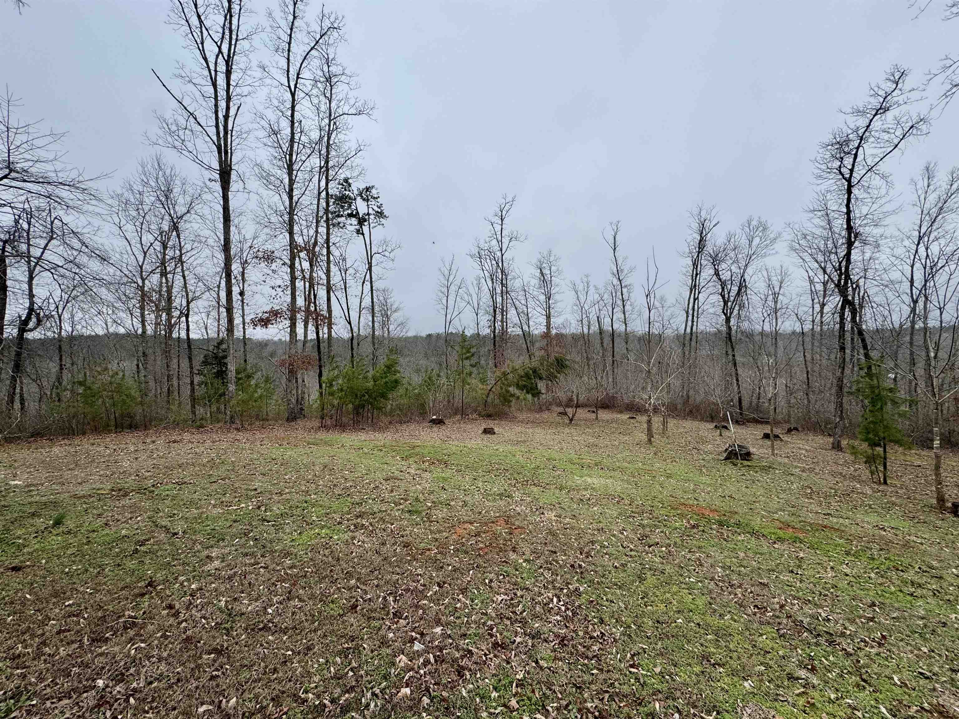 125 Elam Way Savannah, TN 38372 - Photo 6 of 36 a backyard of a house with lots of green space