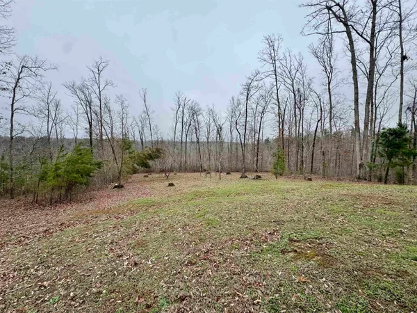 a view of outdoor space with trees