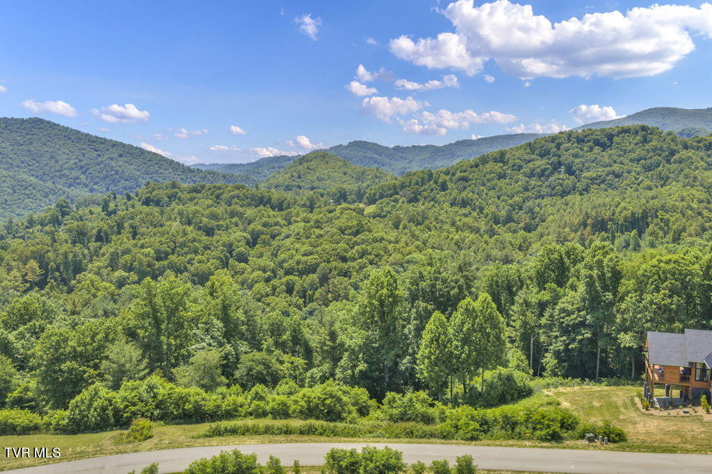 Lot 30 Eagle Rdg Parkway, Unit 30 Butler, TN 37640 - Photo 7 of 28 6-web-or-mls-DJI_20260605120518_0038_D