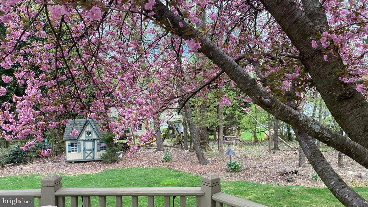 4561 Doncaster Drive Ellicott City, MD 21043 - Photo 29 of 30 Rear Photo w/ Full Bloom