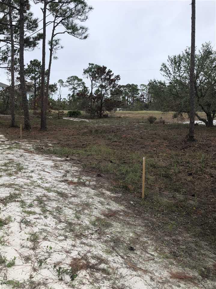 14475 River Road Pensacola, FL 32507 - Photo 2 of 12 No wetlands, cleared lot with survey, oak tree