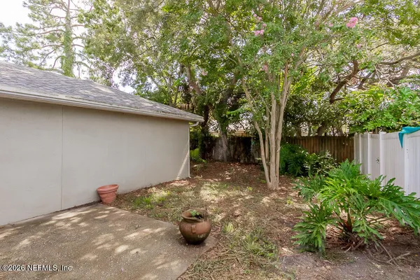 a view of a backyard with plants and trees