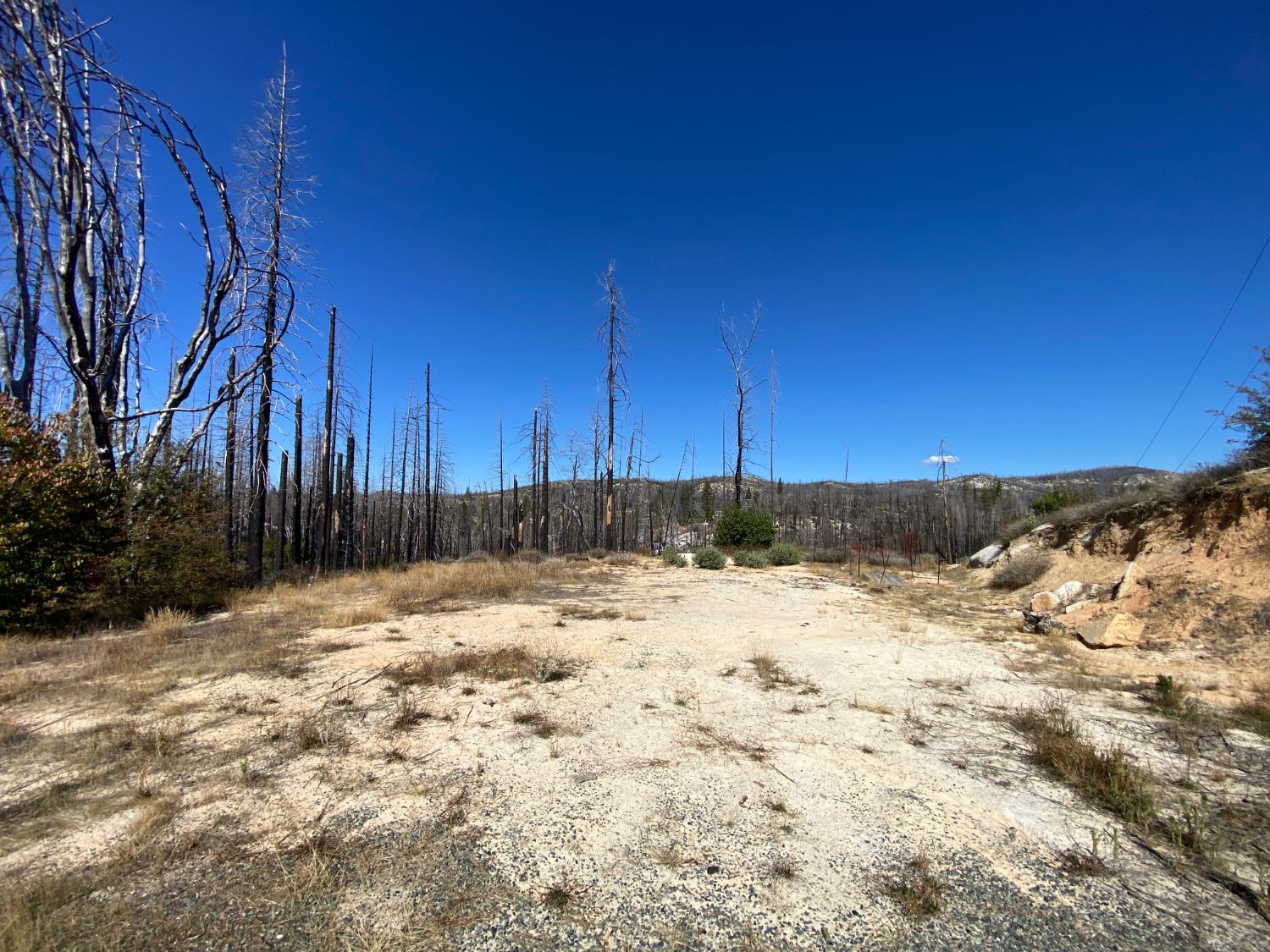 1465 Bald Rock Road Berry Creek, CA 95916 - Photo 3 of 9 a view of a backyard of a house