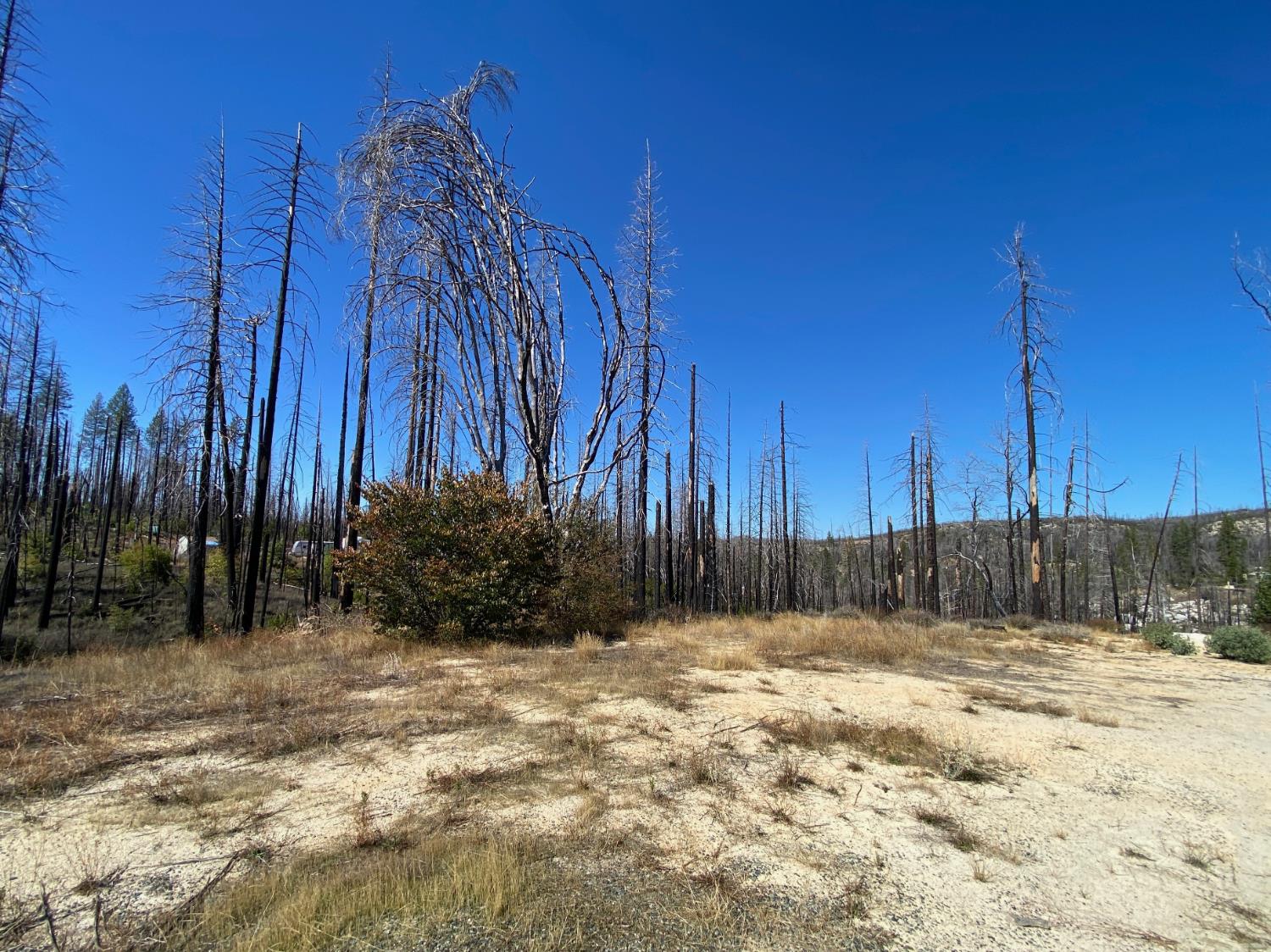 1465 Bald Rock Road Berry Creek, CA 95916 - Photo 4 of 9 a view of a backyard