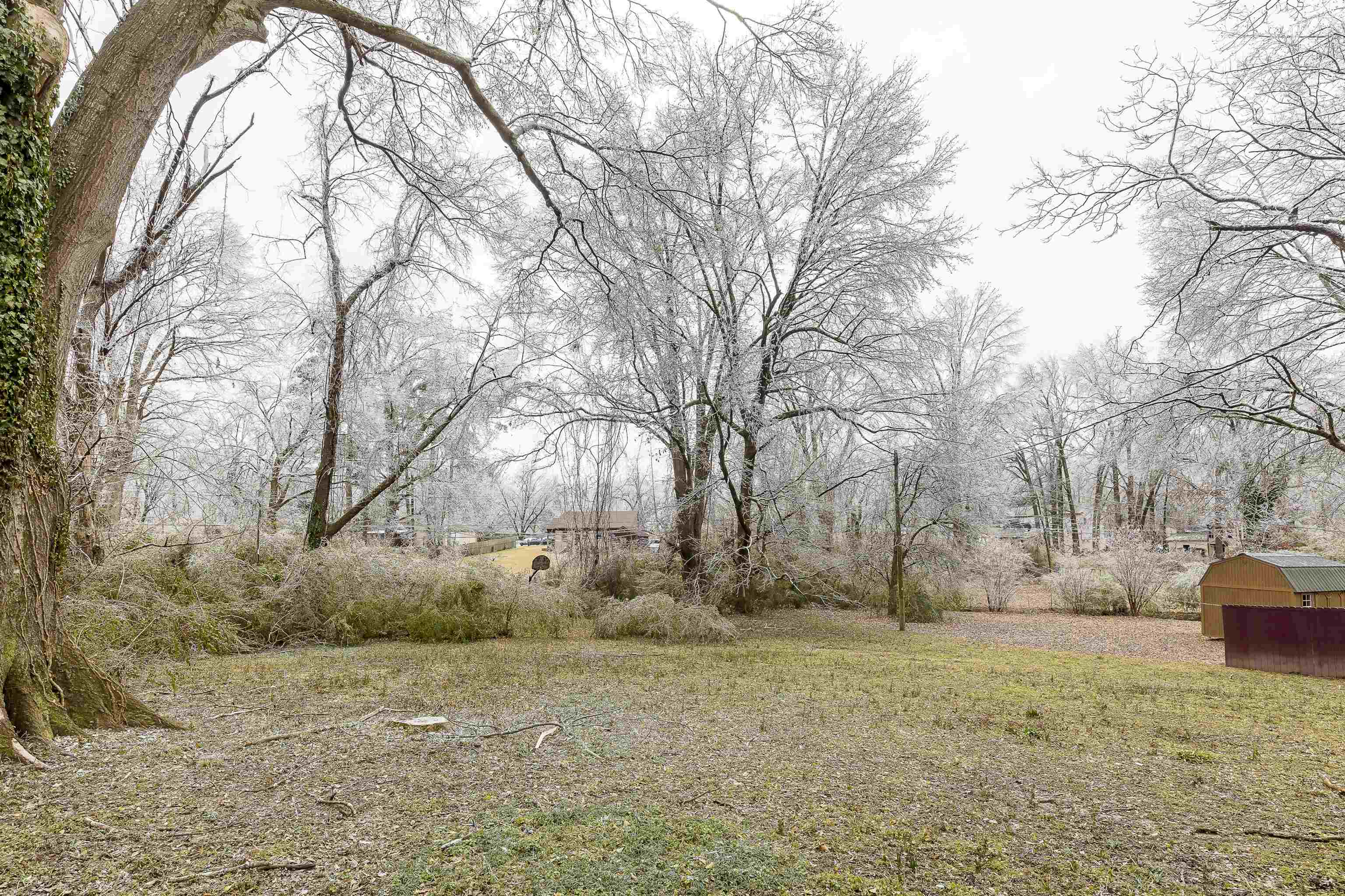 991 Blanchard Road Memphis, TN 38116 - Photo 23 of 23 a view of large trees and covered with snow