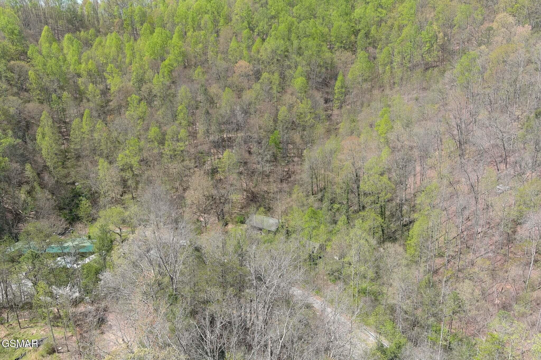 4246 Birds Creek Road Sevierville, TN 37876 - Photo 24 of 36 Gallery Image 24