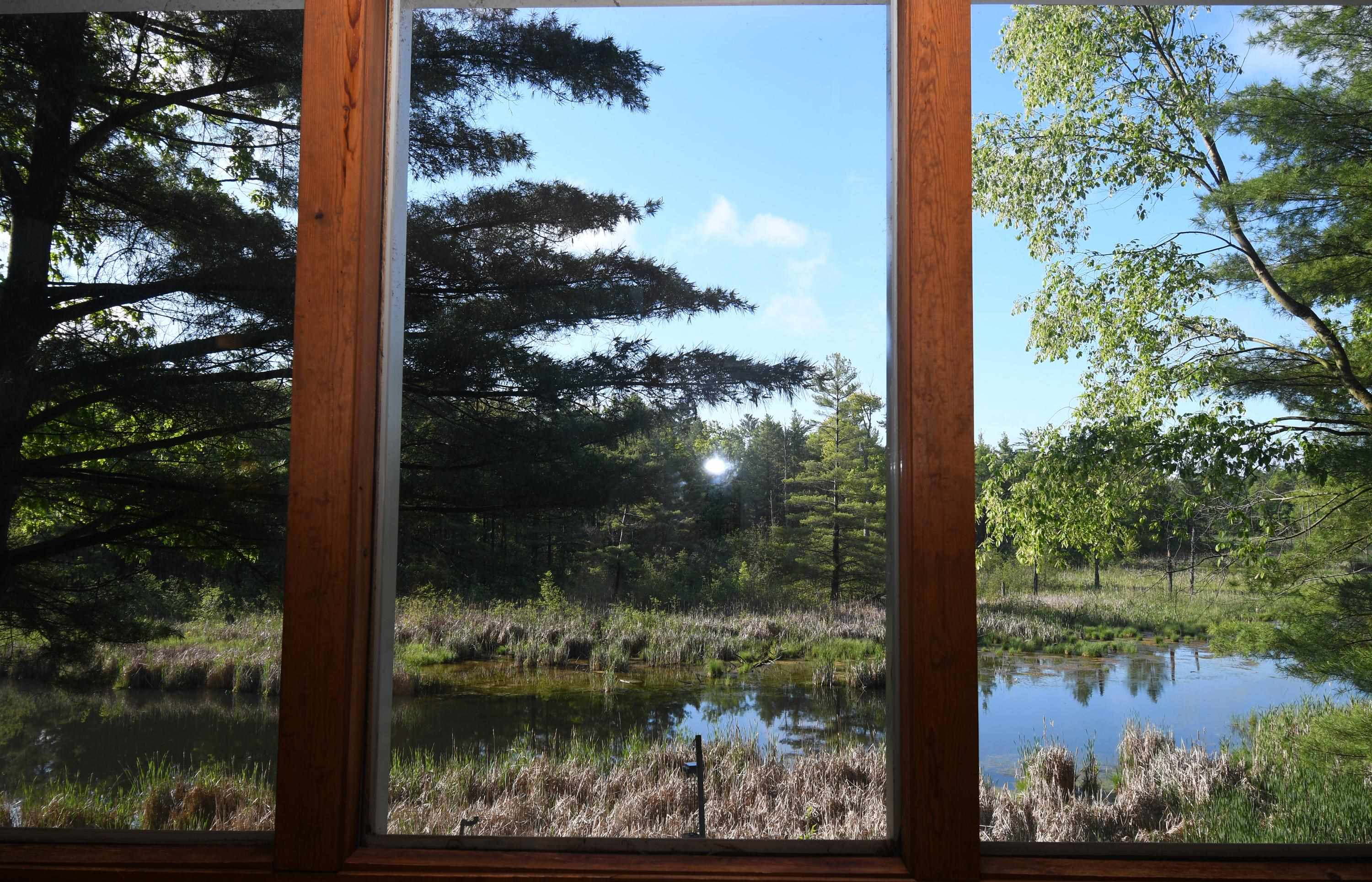 3800 Forest Road Oscoda, MI 48750 - Photo 16 of 46