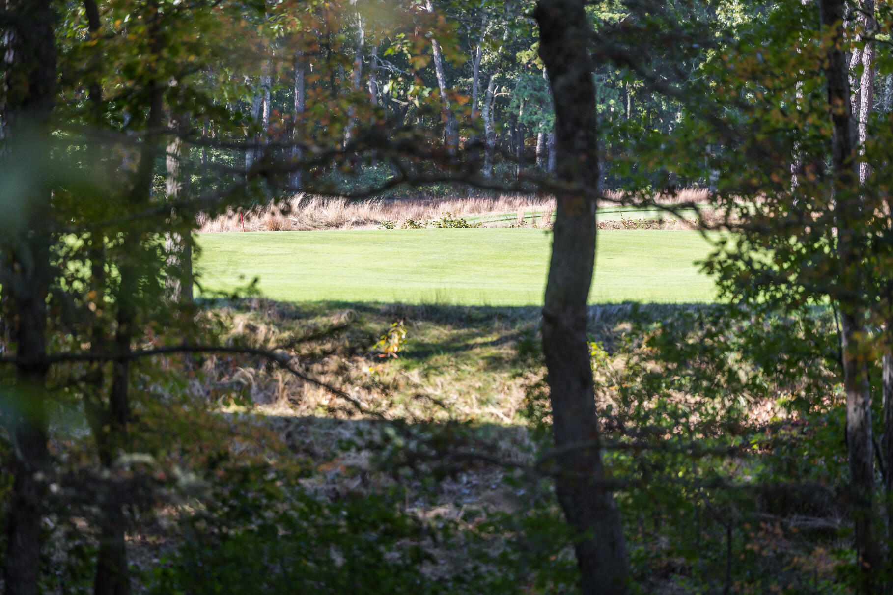 72 Hathaway Road Osterville, MA 02655 - Photo 34 of 40 a view of a tree with a yard