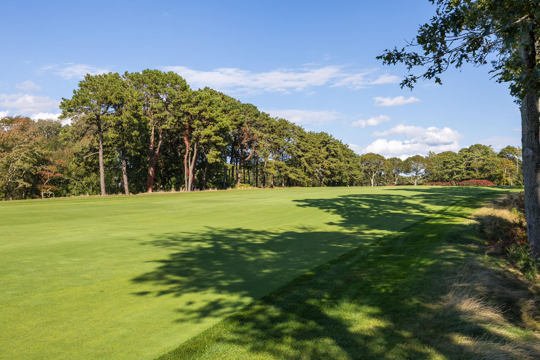 72 Hathaway Road Osterville, MA 02655 - Photo 35 of 40 a view of a golf course with a lake