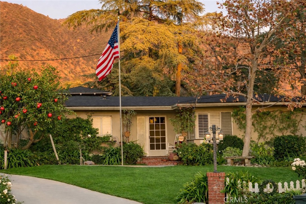 a front view of a house with a yard and potted plants