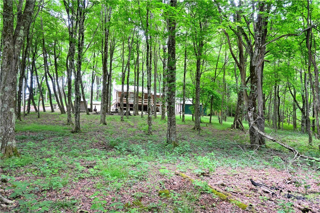 463 Fairview Church Road Lansing, NC 28643 - Photo 42 of 49