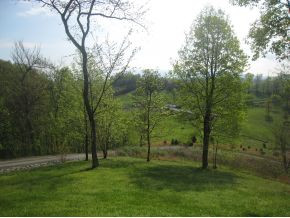 408 Warren Road Piney Flats, TN 37686 - Photo 18 of 23 Photo 18