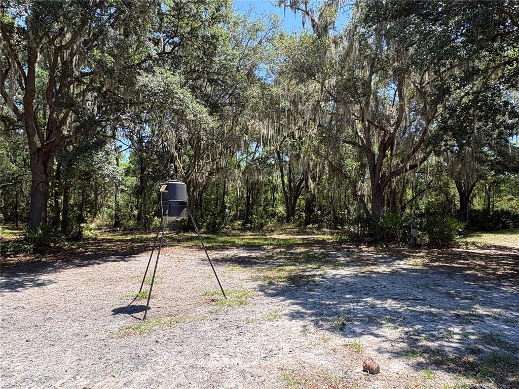 0 Greenbriar Road Lakeland, FL 33810 - Photo 24 of 27 Gallery Image 24