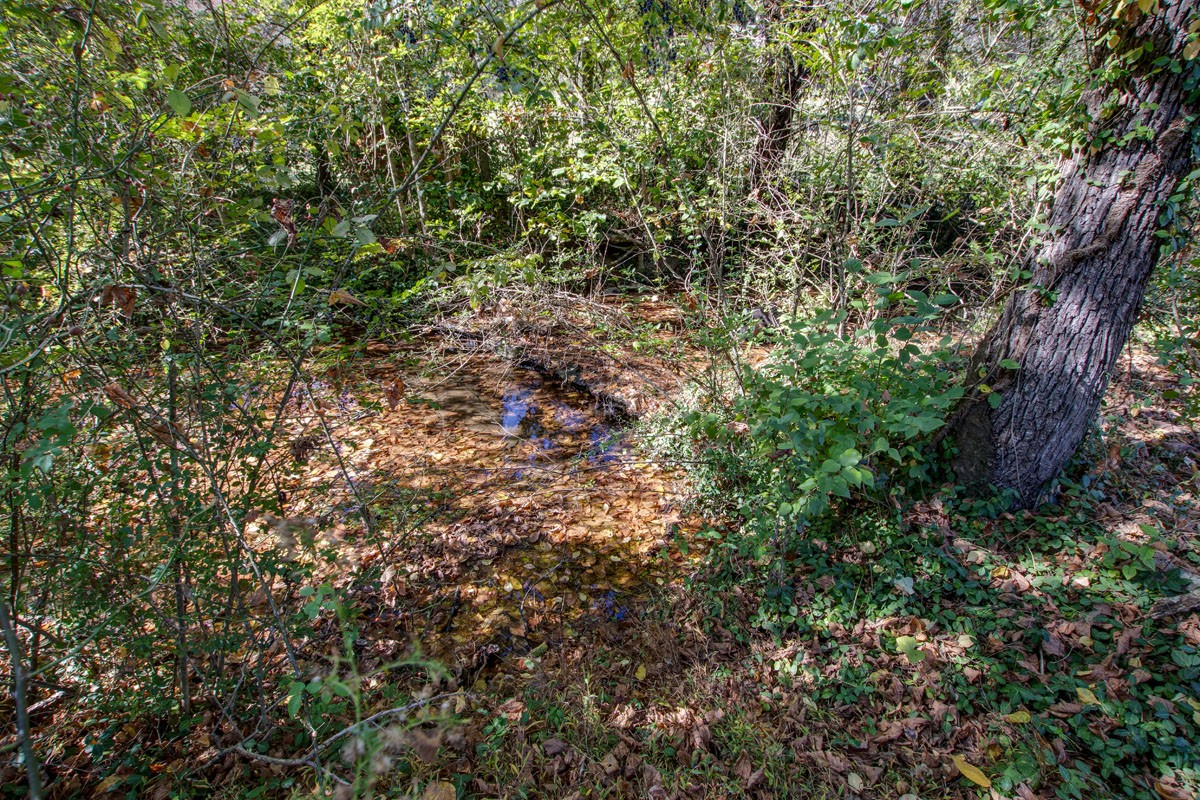 4453 Pecan Valley Road Nashville, TN 37218 - Photo 29 of 33