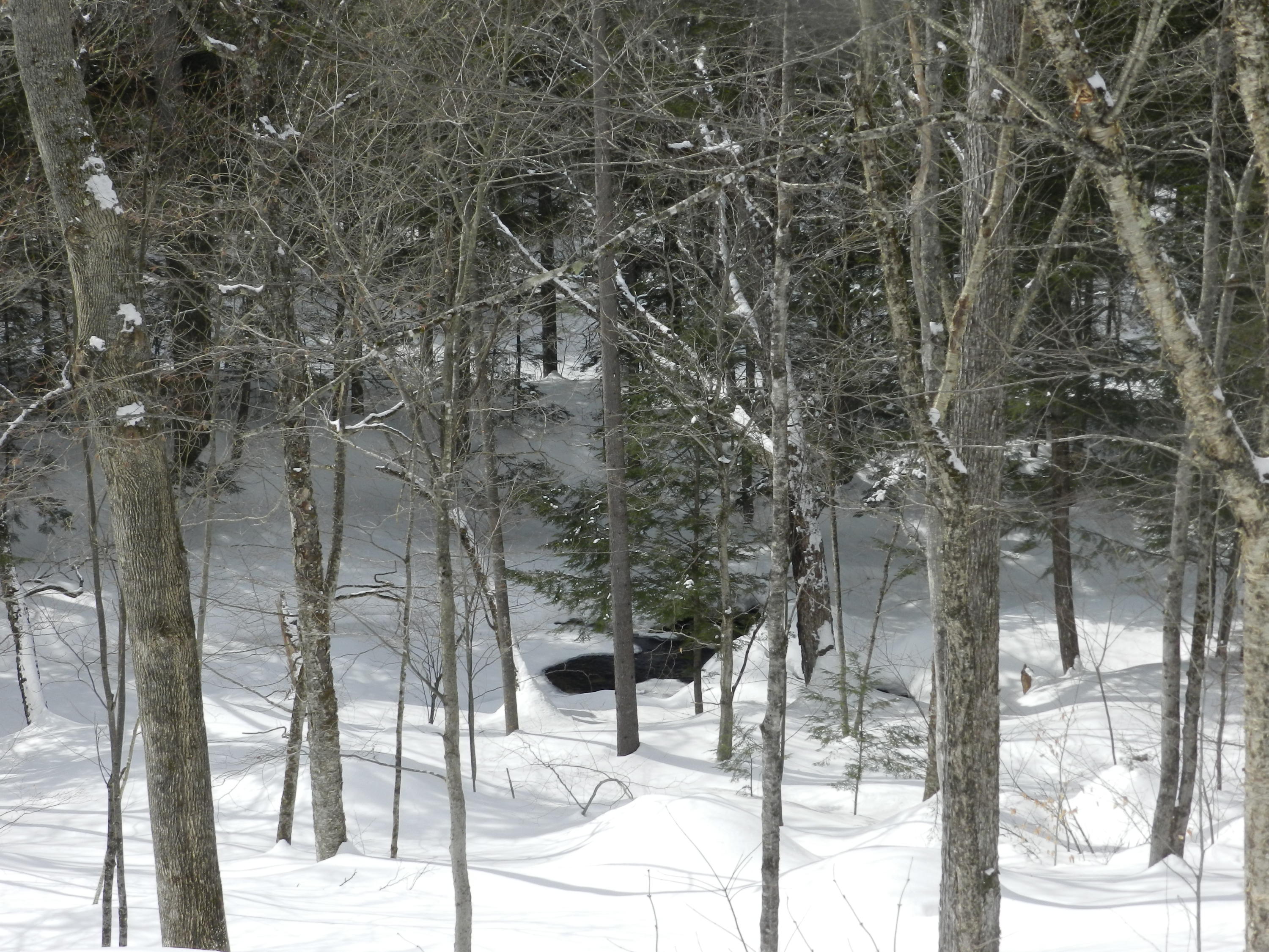 1252 South Arm Road Andover, ME 04216 - Photo 35 of 36 DSCN3304
