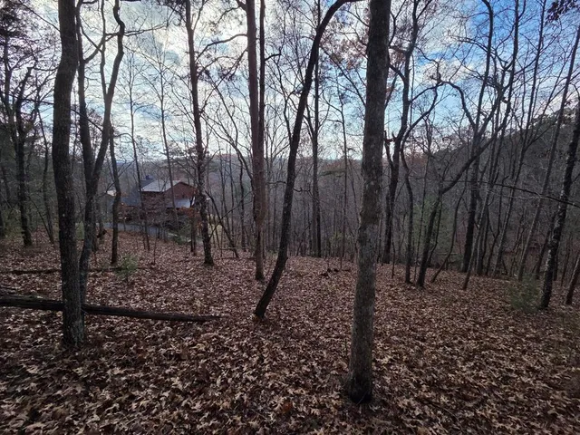 $59,900 | 7 Fish Camp Way, Mineral Bluff, GA 30559