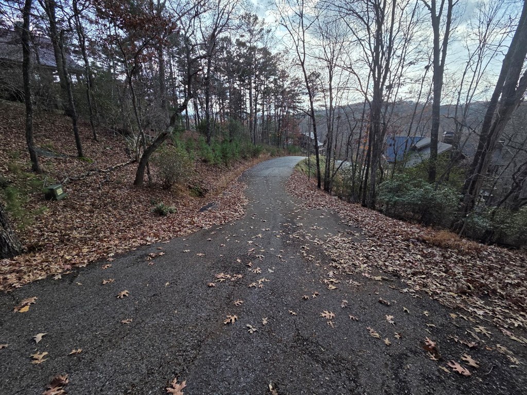 5 Fish Camp Way Mineral Bluff, GA 30559 - Photo 11 of 12