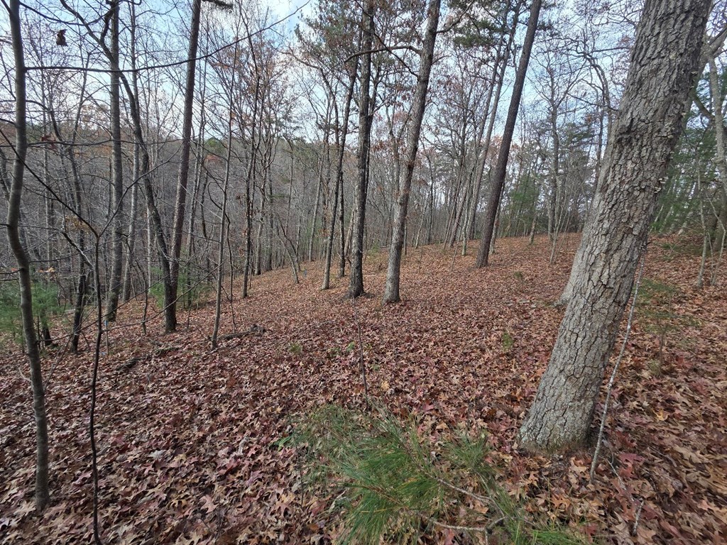 5 Fish Camp Way Mineral Bluff, GA 30559 - Photo 12 of 12