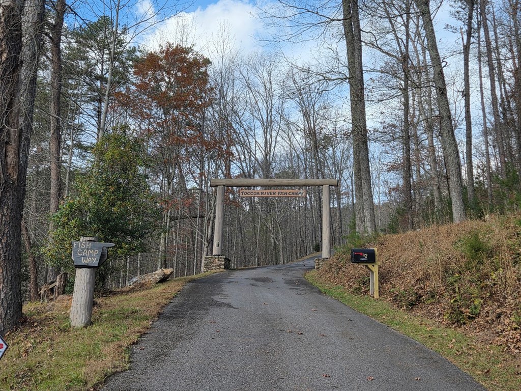 5 Fish Camp Way Mineral Bluff, GA 30559 - Photo 2 of 12