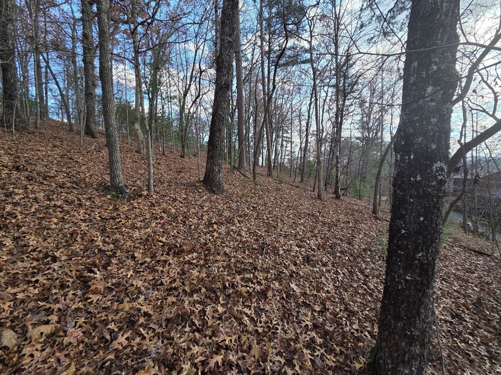 5 Fish Camp Way Mineral Bluff, GA 30559 - Photo 3 of 12