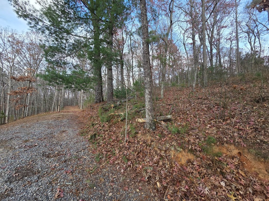 5 Fish Camp Way Mineral Bluff, GA 30559 - Photo 5 of 12