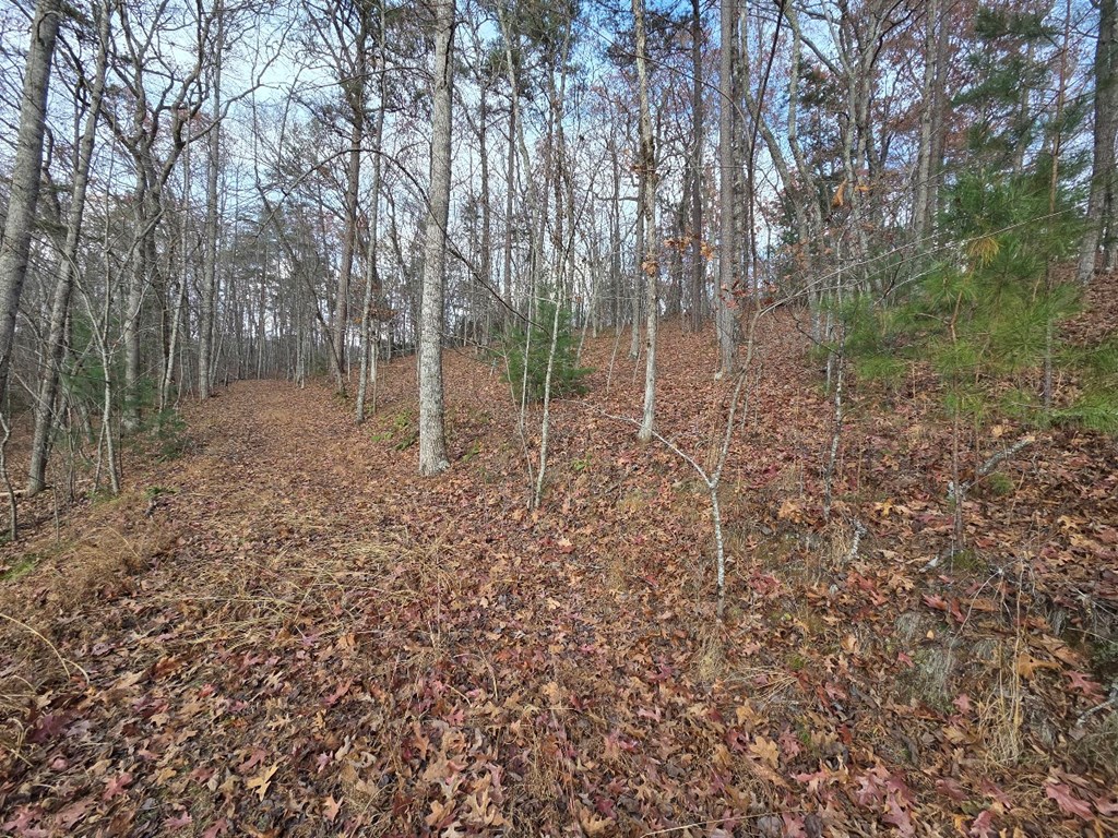 5 Fish Camp Way Mineral Bluff, GA 30559 - Photo 7 of 12