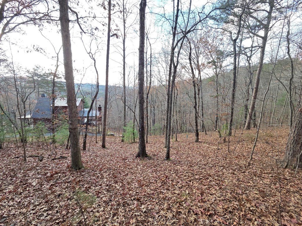5 Fish Camp Way Mineral Bluff, GA 30559 - Photo 9 of 12