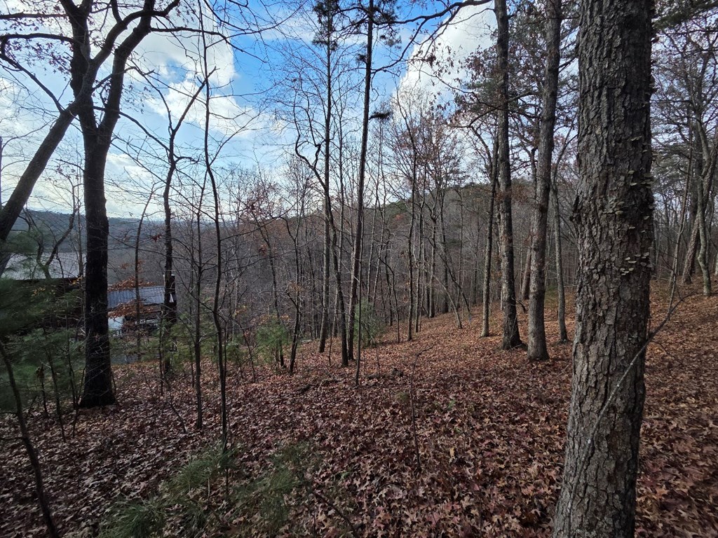 5 Fish Camp Way Mineral Bluff, GA 30559 - Photo 10 of 12