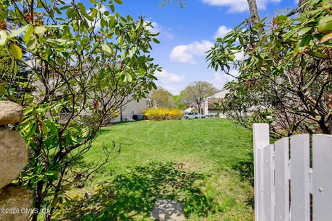 a view of a yard with plants and large trees