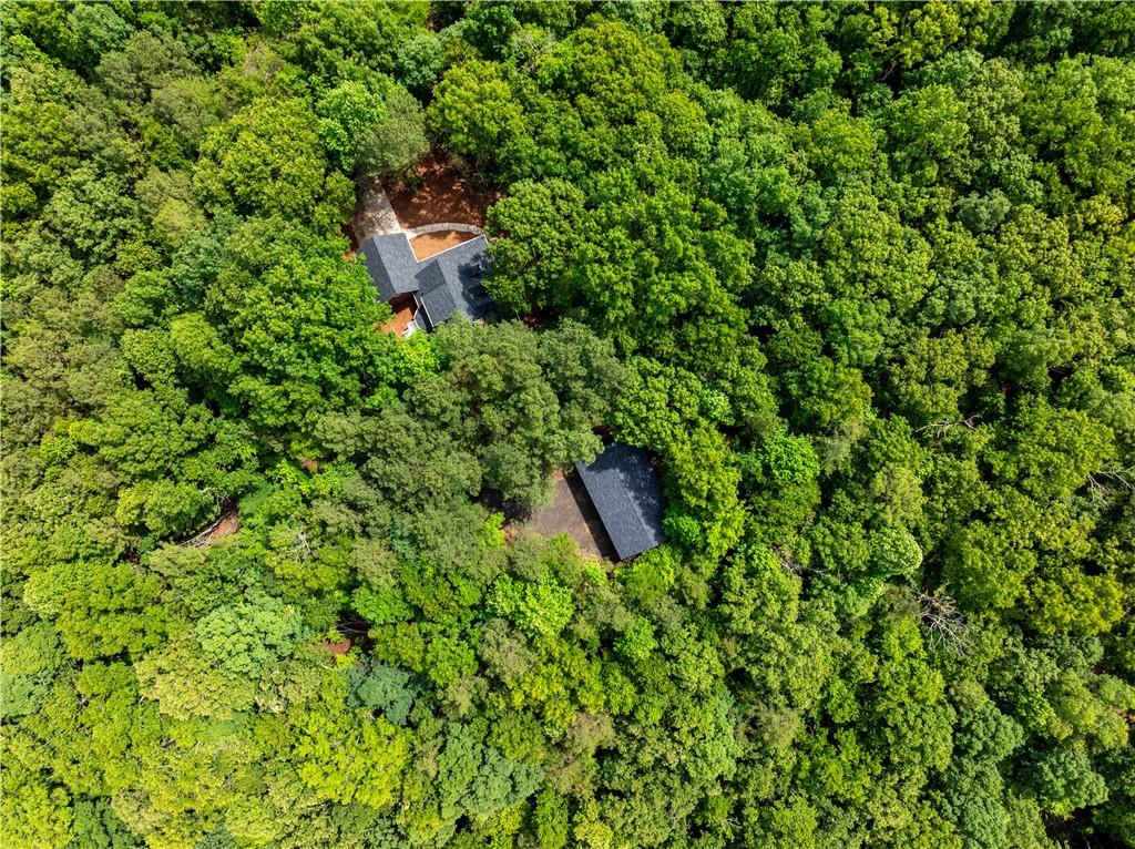 399 James Daniel Road Rockmart, GA 30153 - Photo 18 of 58