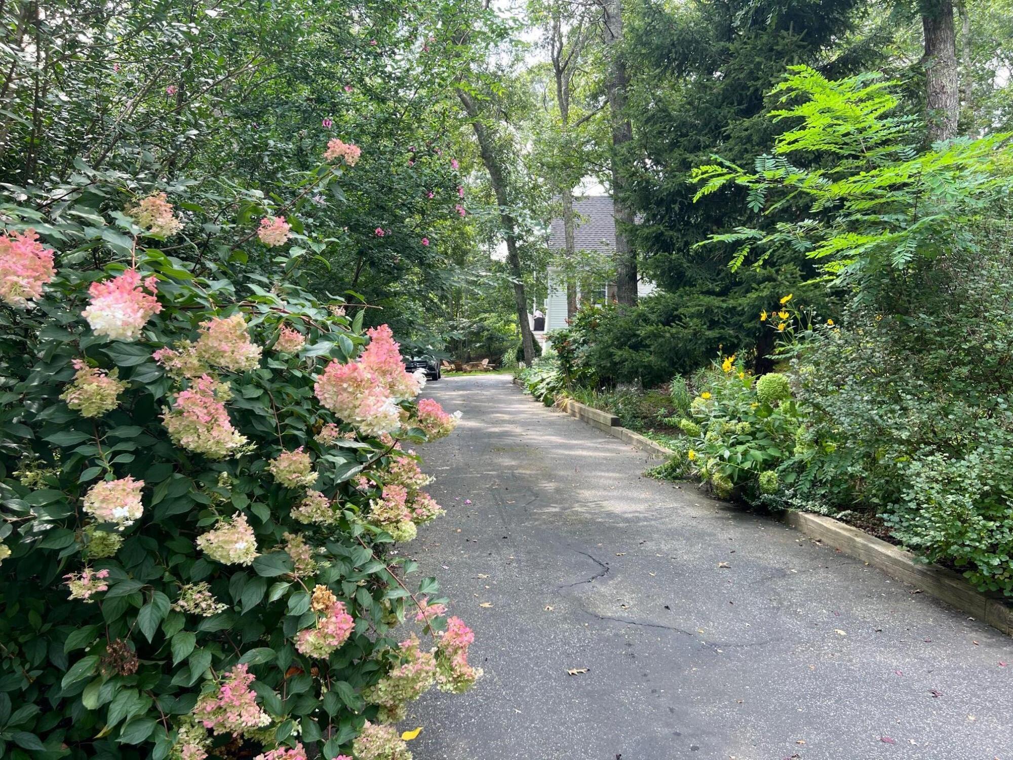 20 Crowell Road Sandwich, MA 02563 - Photo 12 of 32 IMG_0848