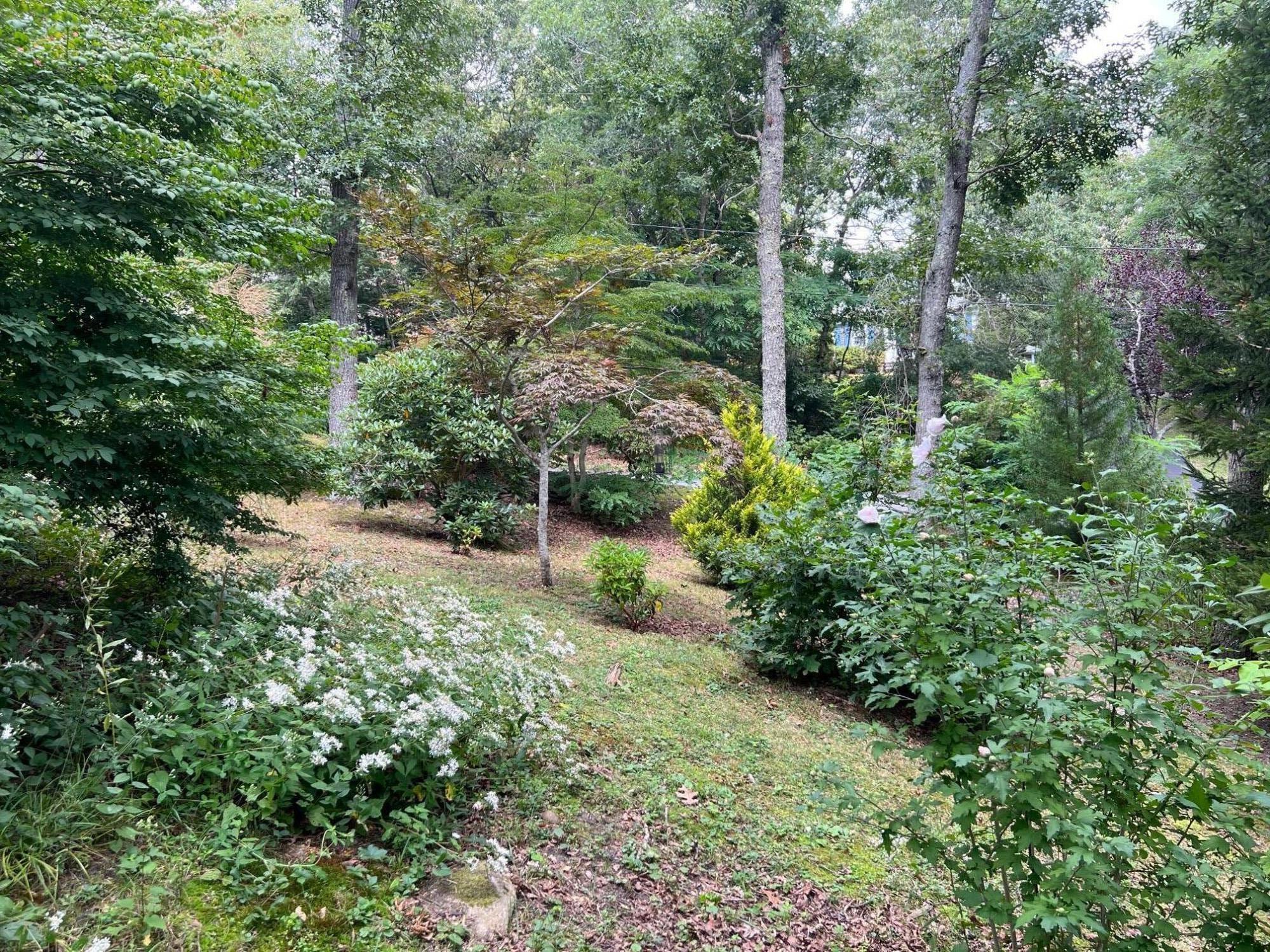 20 Crowell Road Sandwich, MA 02563 - Photo 24 of 32 IMG_0839