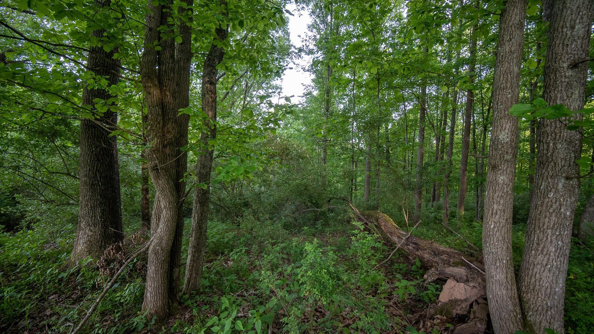 Lot 4 Rocco Run Walkersville, WV 26447 - Photo 20 of 27 Gallery Image 20