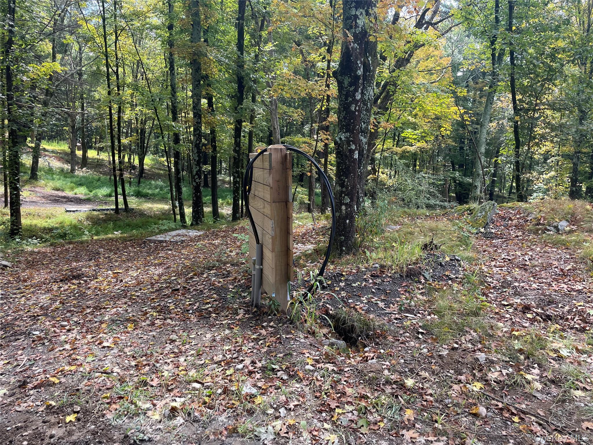 Lot #2 Church Road Red Hook, NY 12571 - Photo 11 of 17 View of tree filled area