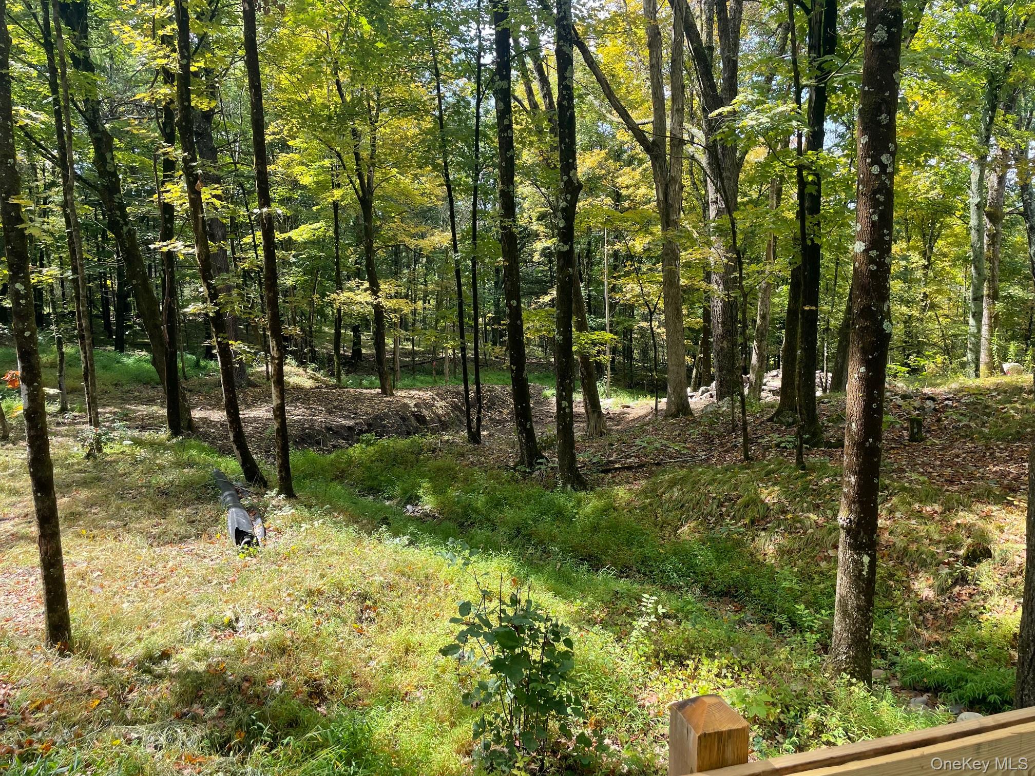 Lot #2 Church Road Red Hook, NY 12571 - Photo 12 of 17 View of wooded area