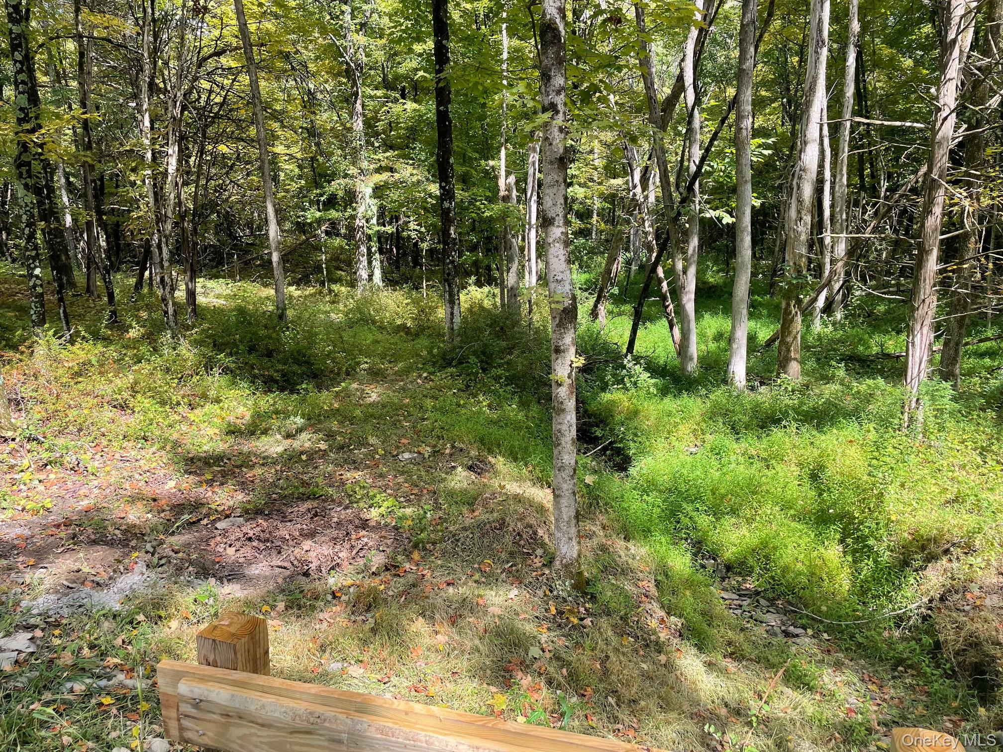 Lot #2 Church Road Red Hook, NY 12571 - Photo 14 of 17 View of nature