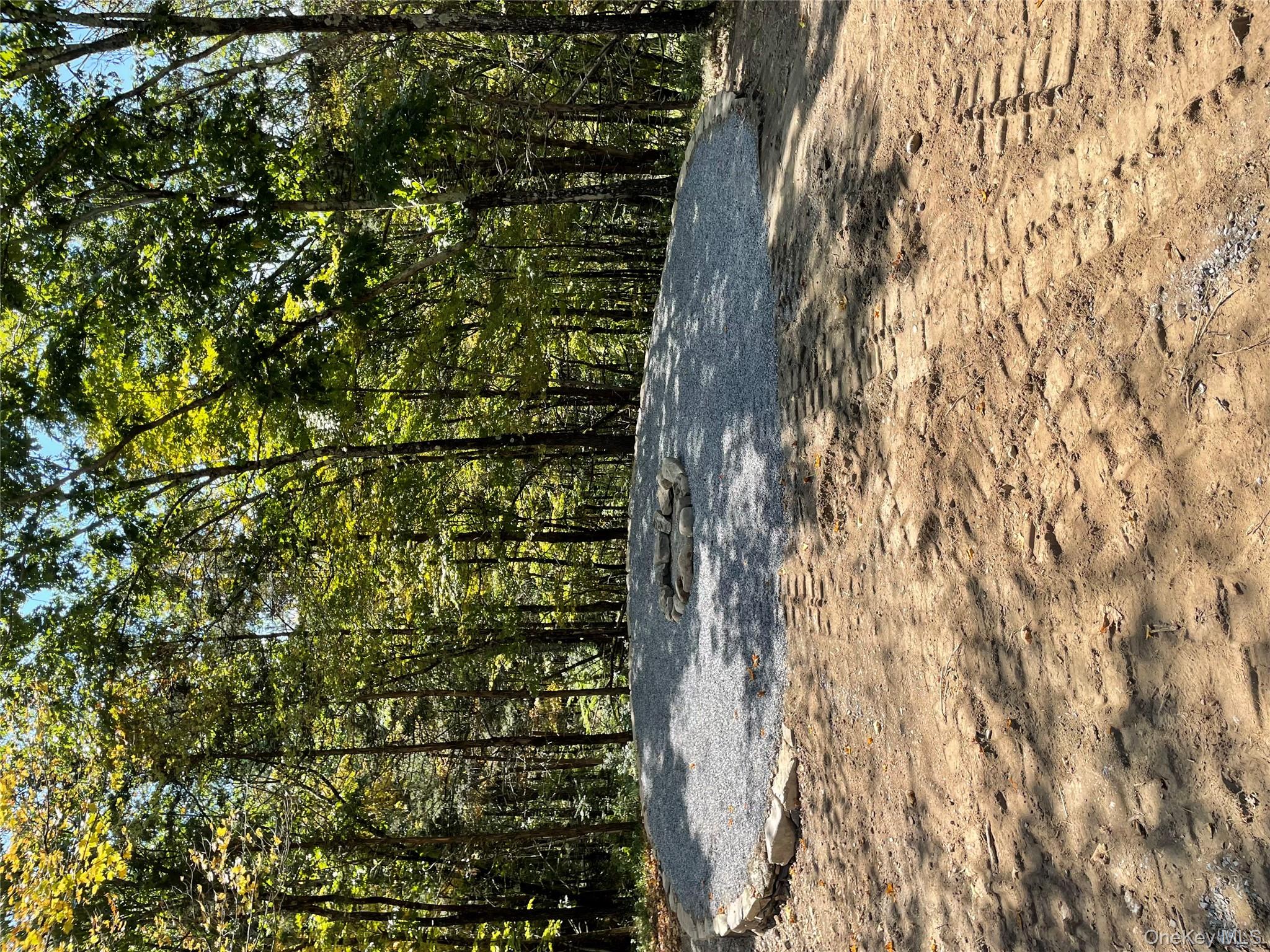 Lot #2 Church Road Red Hook, NY 12571 - Photo 16 of 17 View of wooded area